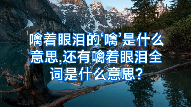 噙着眼泪的‘噙’是什么意思,还有噙着眼泪全词是什么意思?
