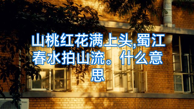 山桃红花满上头,蜀江春水拍山流。什么意思