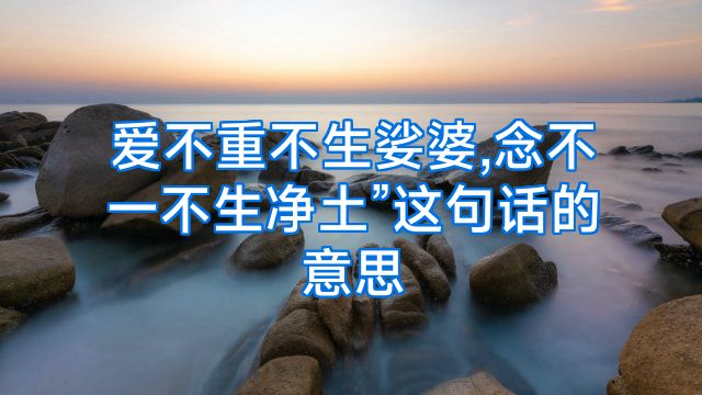 爱不重不生娑婆,念不一不生净土”这句话的意思