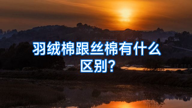 羽绒棉跟丝棉有什么区别?