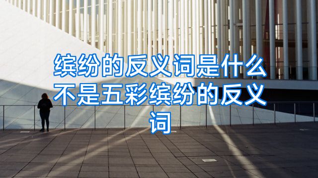 缤纷的反义词是什么不是五彩缤纷的反义词