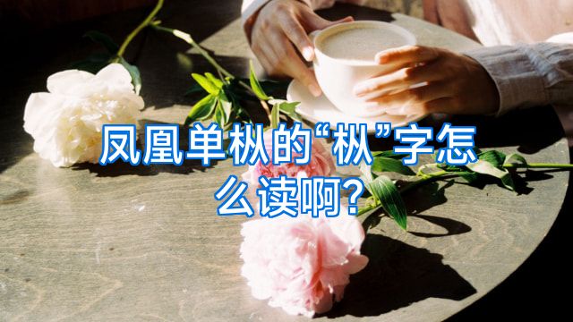 凤凰单枞的“枞”字怎么读啊?