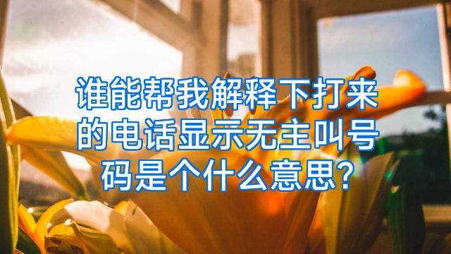 谁能帮我解释下打来的电话显示无主叫号码是个什么意思?