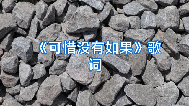《可惜没有如果》歌词
