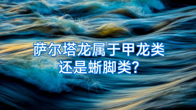 萨尔塔龙属于甲龙类还是蜥脚类?