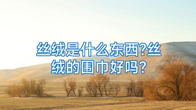 丝绒是什么东西?丝绒的围巾好吗?