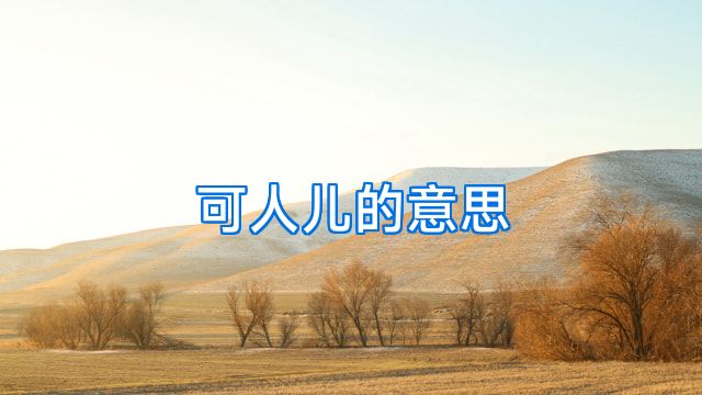 可人儿的意思