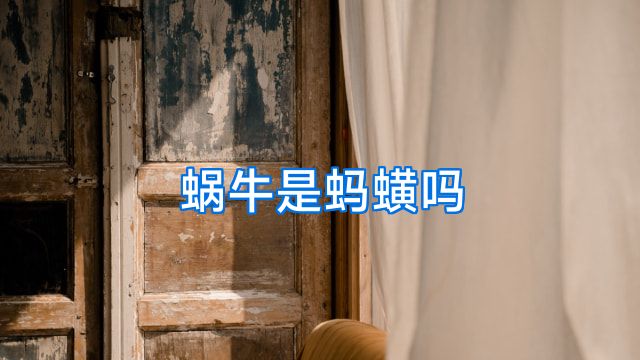 蜗牛是蚂蟥吗