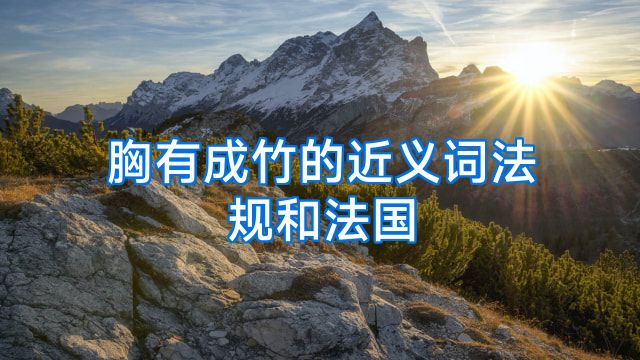 胸有成竹的近义词法规和法国