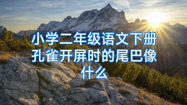 小学二年级语文下册孔雀开屏时的尾巴像什么