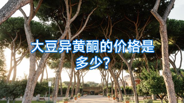 大豆异黄酮的价格是多少?