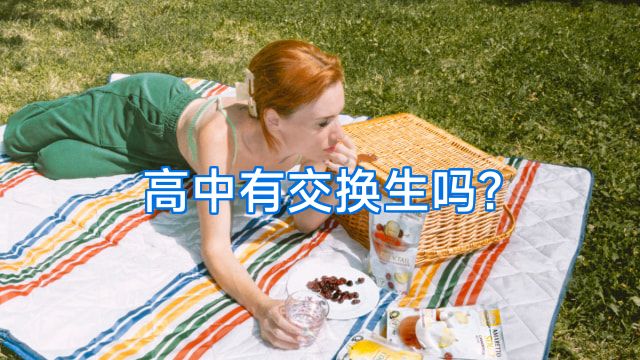 高中有交换生吗?