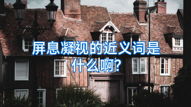 屏息凝视的近义词是什么啊?
