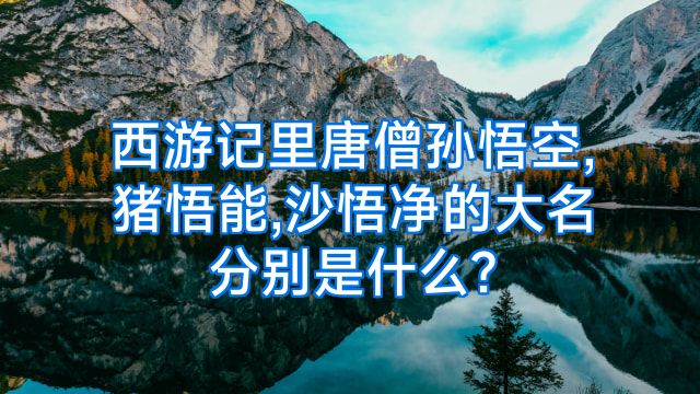 西游记里唐僧孙悟空,猪悟能,沙悟净的大名分别是什么?