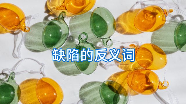 缺陷的反义词