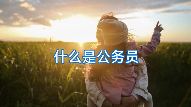 什么是公务员