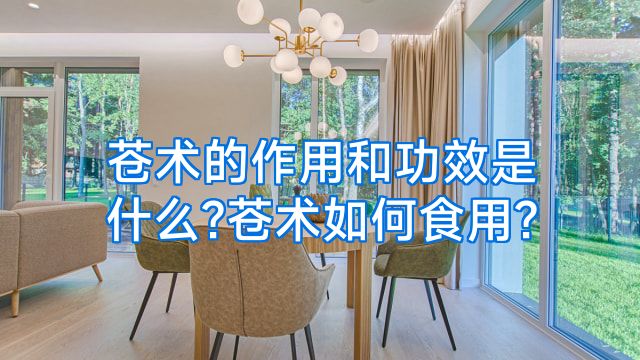 苍术的作用和功效是什么?苍术如何食用?
