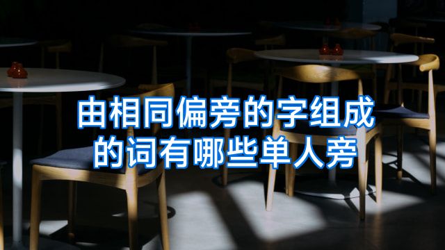 由相同偏旁的字组成的词有哪些单人旁