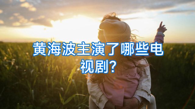 黄海波主演了哪些电视剧?
