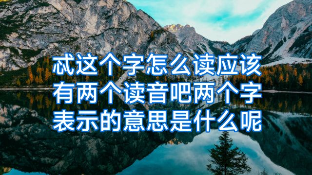 忒这个字怎么读应该有两个读音吧两个字表示的意思是什么呢