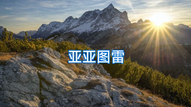 亚亚图雷