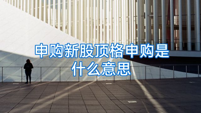 申购新股顶格申购是什么意思