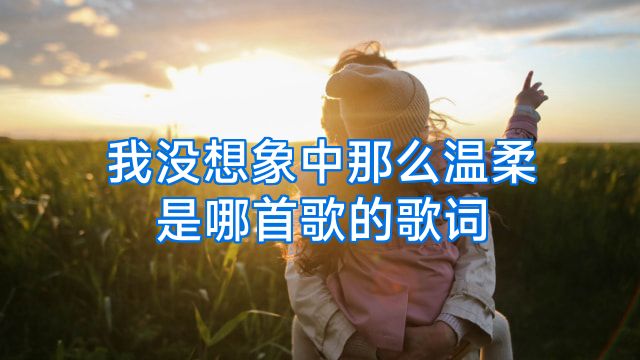 我没想象中那么温柔是哪首歌的歌词