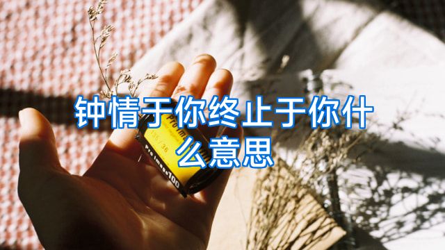 钟情于你终止于你什么意思