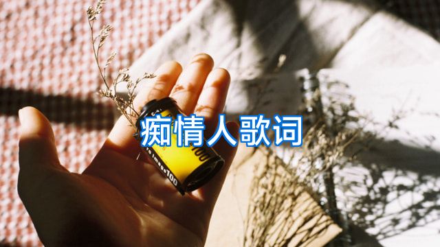 痴情人歌词