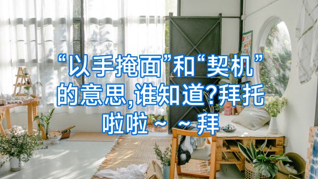 “以手掩面”和“契机”的意思,谁知道?拜托啦啦～～拜