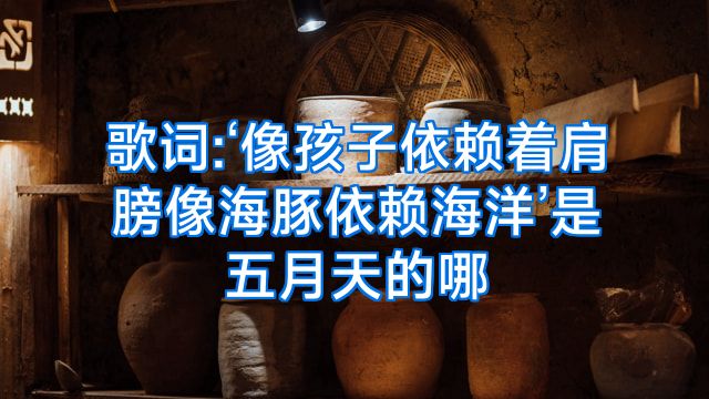 歌词:‘像孩子依赖着肩膀像海豚依赖海洋’是五月天的哪