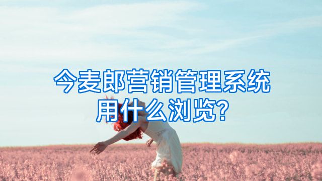 今麦郎营销管理系统用什么浏览?