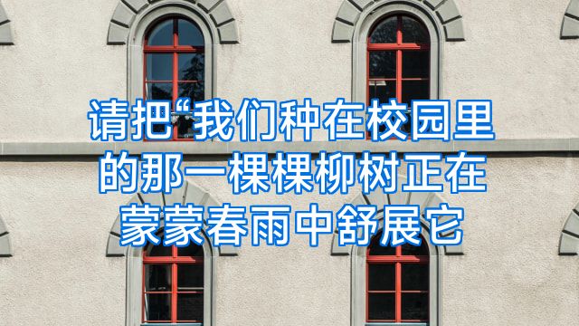 请把“我们种在校园里的那一棵棵柳树正在蒙蒙春雨中舒展它