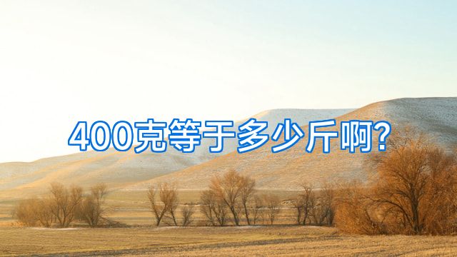 400克等于多少斤啊?