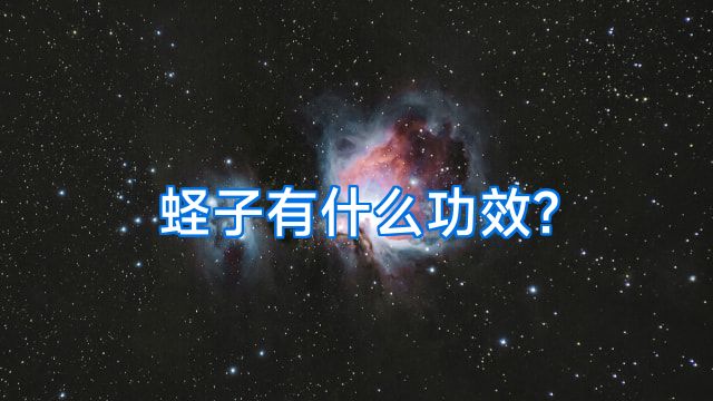 蛏子有什么功效?