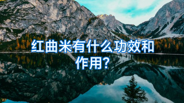 红曲米有什么功效和作用?
