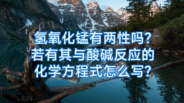 氢氧化锰有两性吗?若有其与酸碱反应的化学方程式怎么写?
