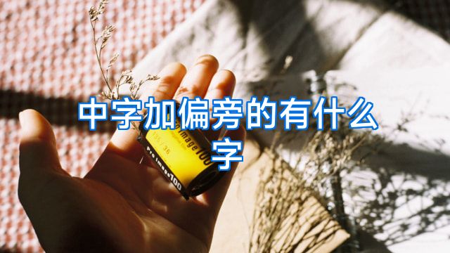 中字加偏旁的有什么字