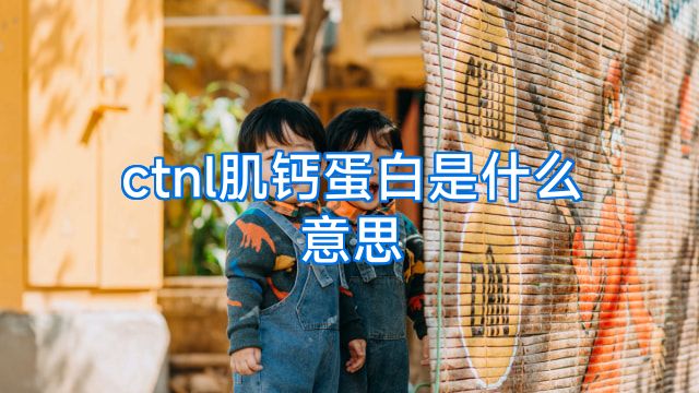 ctnl肌钙蛋白是什么意思