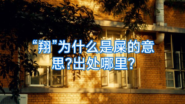 “翔”为什么是屎的意思?出处哪里?