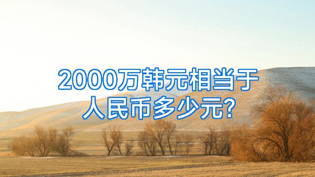 2000万韩元相当于人民币多少元?