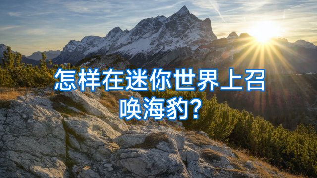 怎样在迷你世界上召唤海豹?