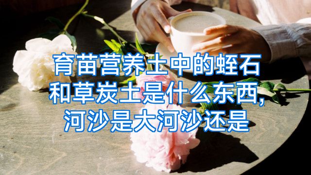 育苗营养土中的蛭石和草炭土是什么东西,河沙是大河沙还是