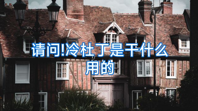请问!冷杜丁是干什么用的