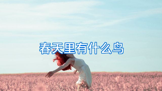 春天里有什么鸟