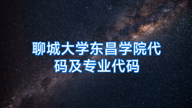 聊城大学东昌学院代码及专业代码
