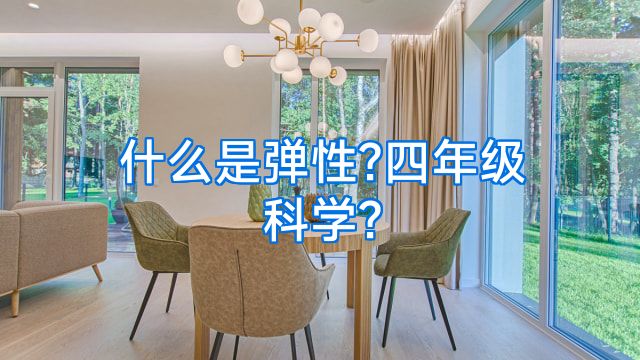 什么是弹性?四年级科学?