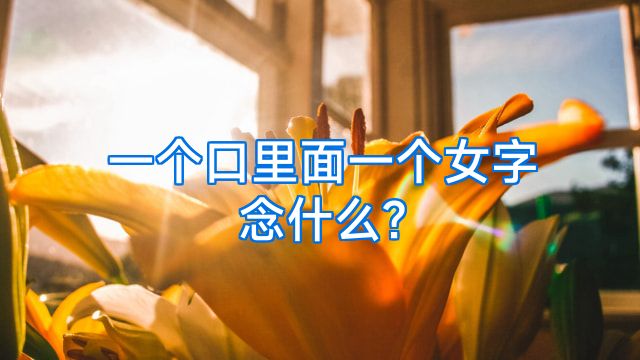 一个口里面一个女字念什么?