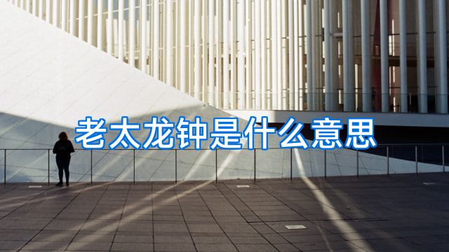 老太龙钟是什么意思