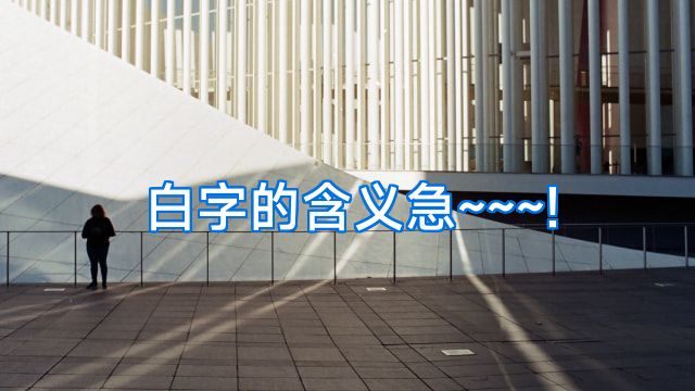 白字的含义急~~~!